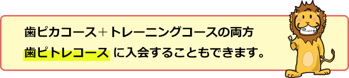 歯ピカコース＋トレーニングコースの両方である歯ピトレコースに入会することもできます。