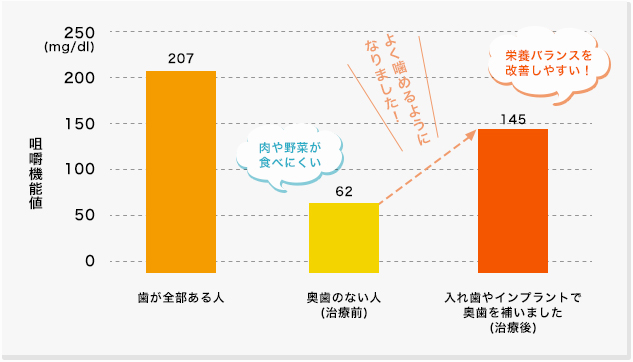 奥歯のあるなしで噛む機能はどう変わる？